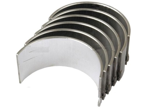 PANEWKI KORBOWODOWE .jpg