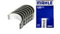 panewki mahle 360 korb.jpg