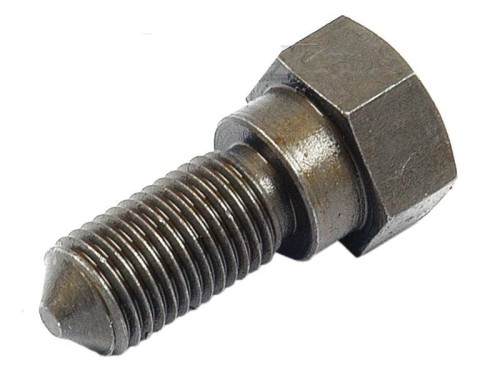 śruba montażowa zawiasu maski.jpg