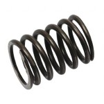 SPRĘŻYNA ZAWOROWA FERGUSON TEA TED FE35