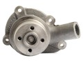 Pompa wody David Brown 770-885  DBH05-1.jpg
